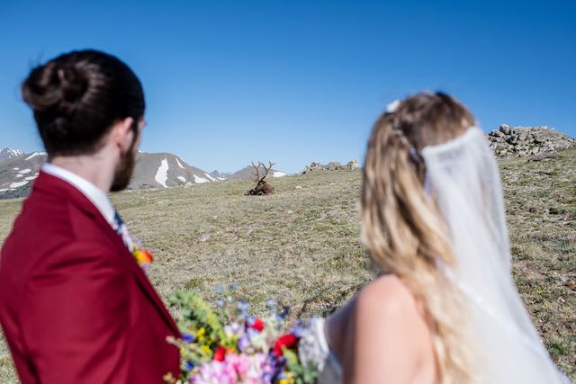 intimate weddings in colorado