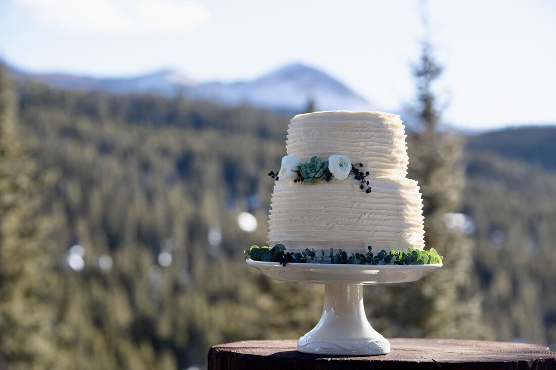 Colorado-microwedding-cake