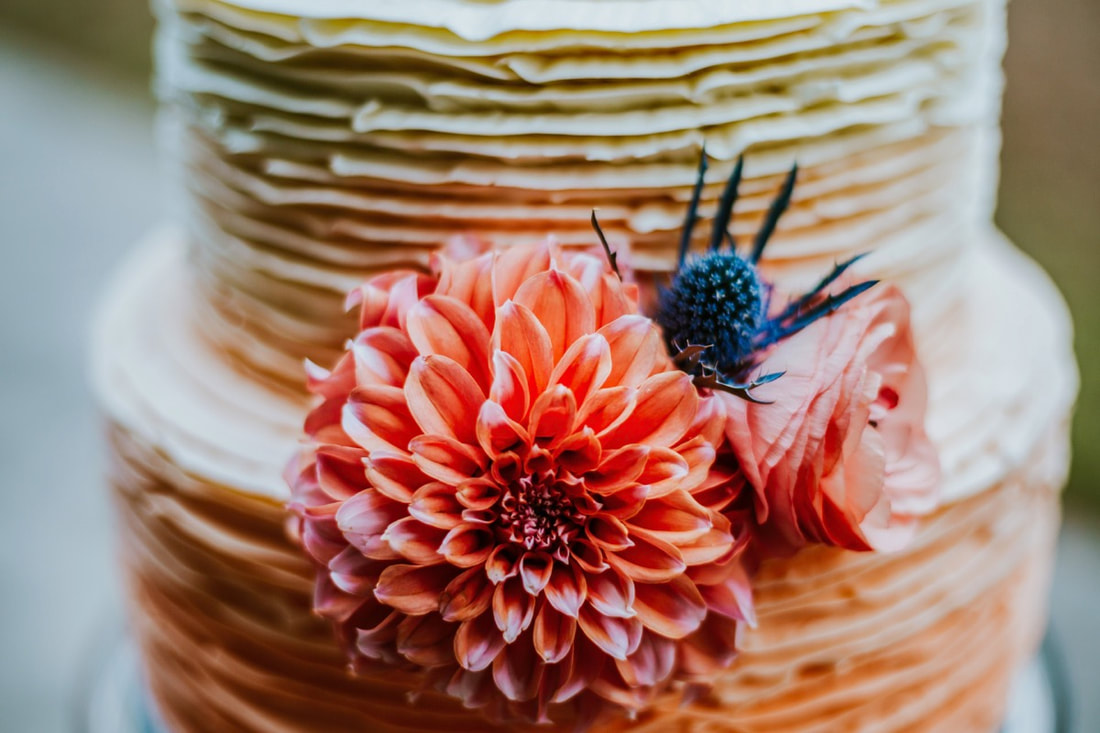 tiny wedding cake colorado
